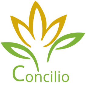 Concilio Logo