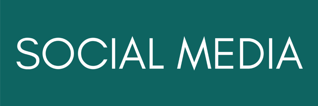 VAYANA Überschrift "Social Media"