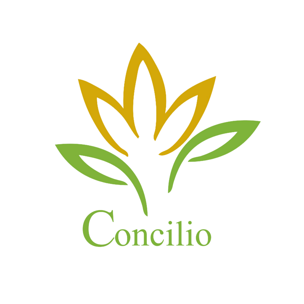 Concilio Logo