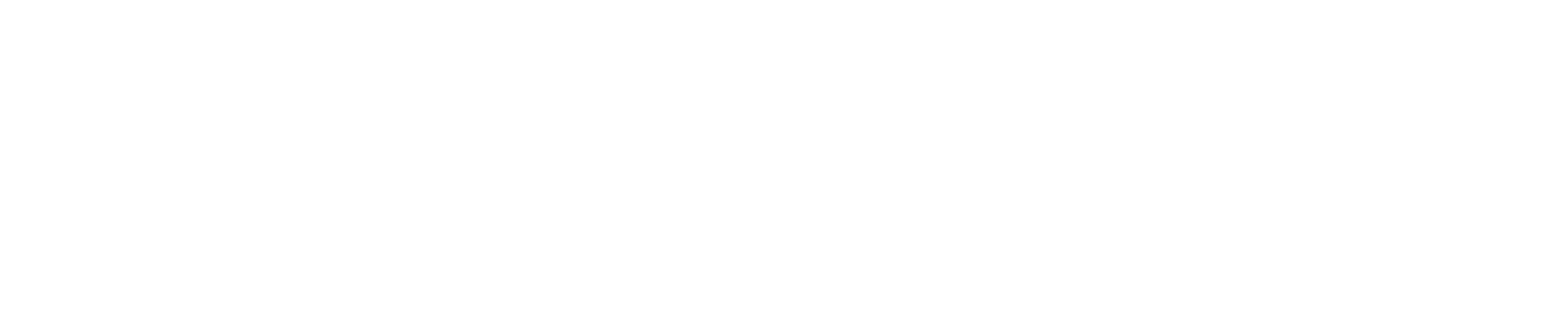 VAYANA Überschrift "VAYANA & Friends"